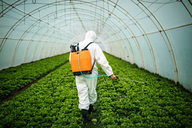 Best Emergency Pest Control  in Valley Center, CA