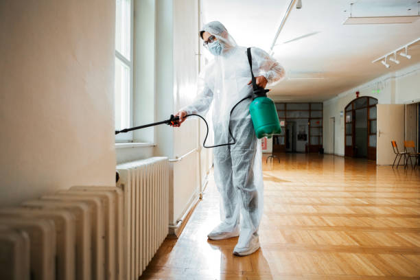 Best Commercial Pest Control Services  in Valley Center, CA