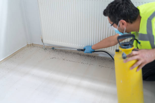 Best Cockroach Control Services  in Valley Center, CA